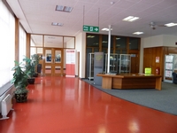 kino images