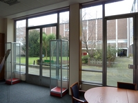 kino images