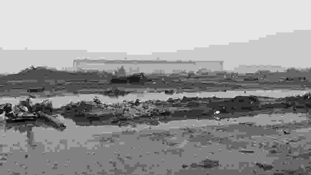 kino images