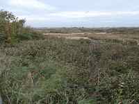 Oakhamness island