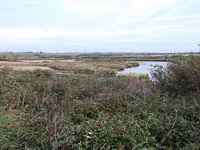 Oakhamness island