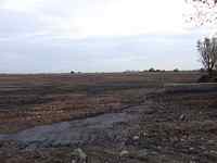 Ash lagoon